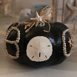 May include: Black pumpkin decorated with seashells, a white sand dollar, and a starfish. The pumpkin has a decorative bow and is a unique coastal-themed home decor item.