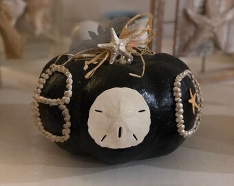Seashell Boo pompoen