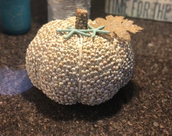 Seashell Pumpkin - Etsy