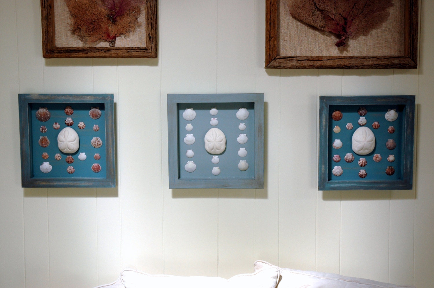 Sea Shell Shadow Boxes Etsy