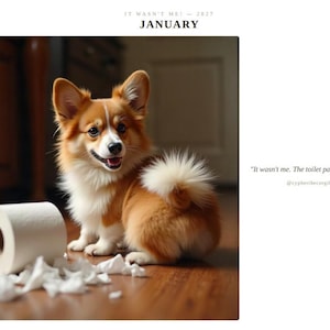 Puede incluir: Una página de calendario para enero de 2027 con un cachorro de Corgi marrón y blanco esponjoso sentado junto a un rollo de papel higiénico blanco con trozos esparcidos por el suelo. El texto dice: IT WASN'T ME! — 2027 JANUARY y It wasn't me.