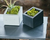 SALE!! ANGL Modern Concrete Planter