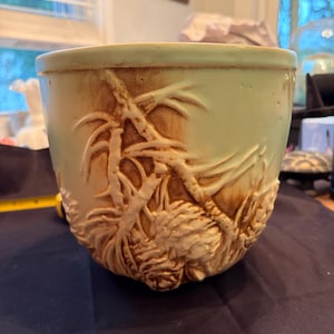 May include: A round ceramic planter with a cream-colored glaze and a brown-toned relief design featuring pine branches and pinecones. The pot has a smooth, wide rim and a textured, embossed surface that wraps around the exterior of the vessel.