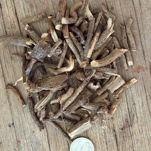 May include: A collection of small, dried, brown woody root pieces scattered in a pile. The roots have a rough, textured bark and vary in length and thickness. A silver-colored United States quarter coin is placed at the bottom for scale.