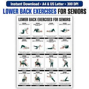 May include: A digital exercise chart titled LOWER BACK EXERCISES FOR SENIORS featuring sixteen illustrated panels. Each panel displays a person in teal clothing performing a specific movement with text instructions and repetition counts for daily routines.