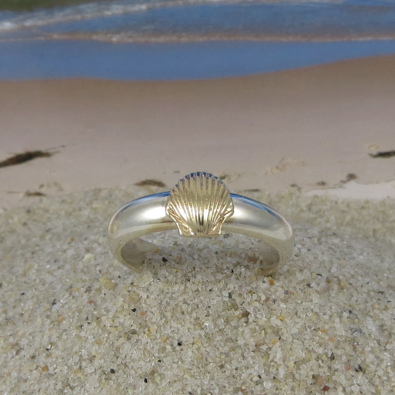 Anillo conchas de mar clearance