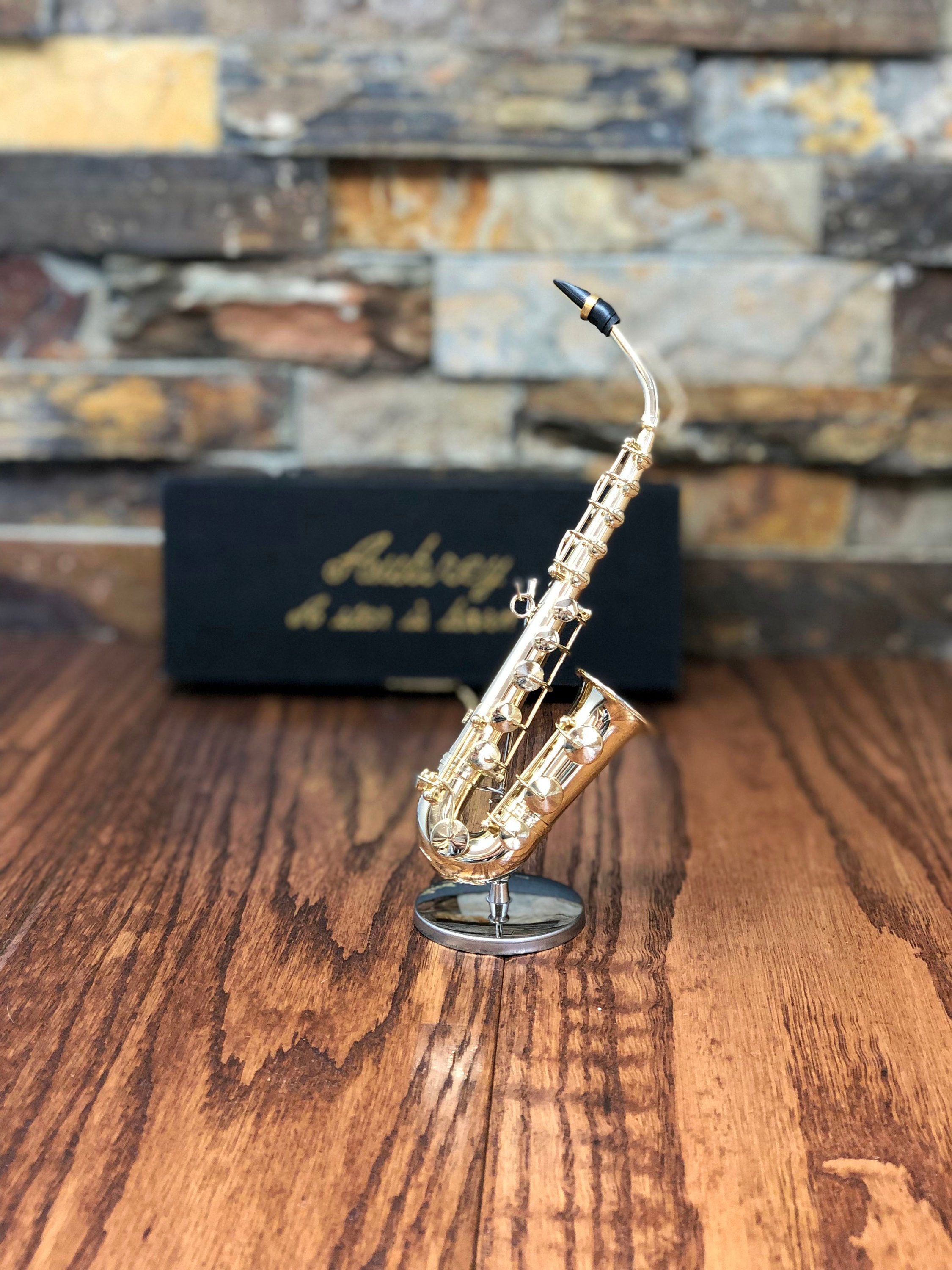 Portable Black Pocket Mini Saxophone Little Sax Simple Music Tool + Ca