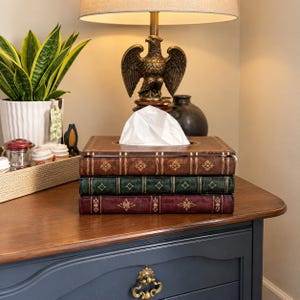 May include: A rectangular tissue box cover designed to look like a stack of three vintage leather-bound books in brown, green, and burgundy. Each book spine features gold-colored embossed floral patterns and vertical lines, with a white tissue protruding.