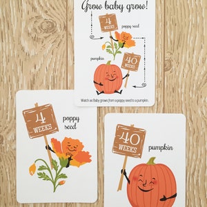 PDF zum Selbstausdrucken – Baby-Grow-Woche für Schwangerschaft, Schwangerschafts-Countdown, Baby-Bump-Woche für Woche, Obst & Gemüse
