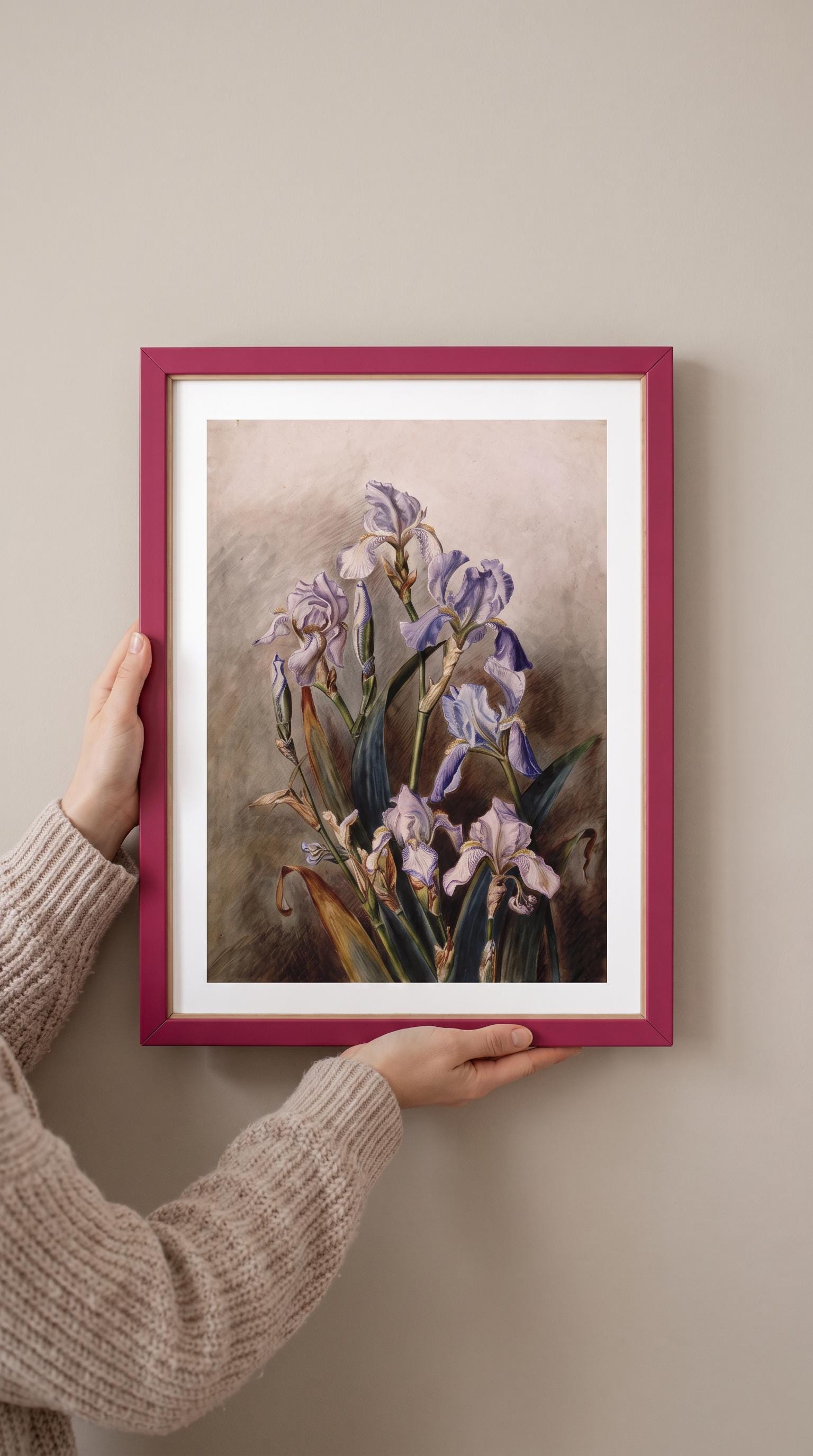 Iris Gallery - Etsy