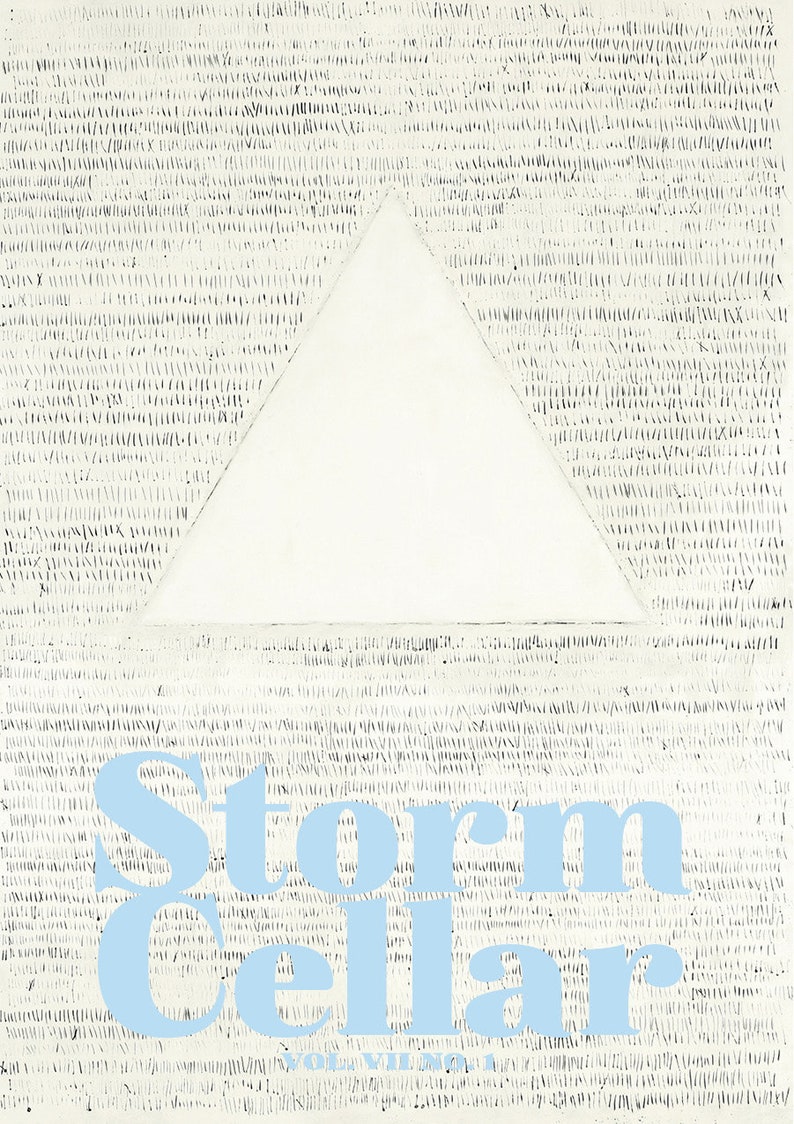 Storm Cellar 7.1 ebook image 1