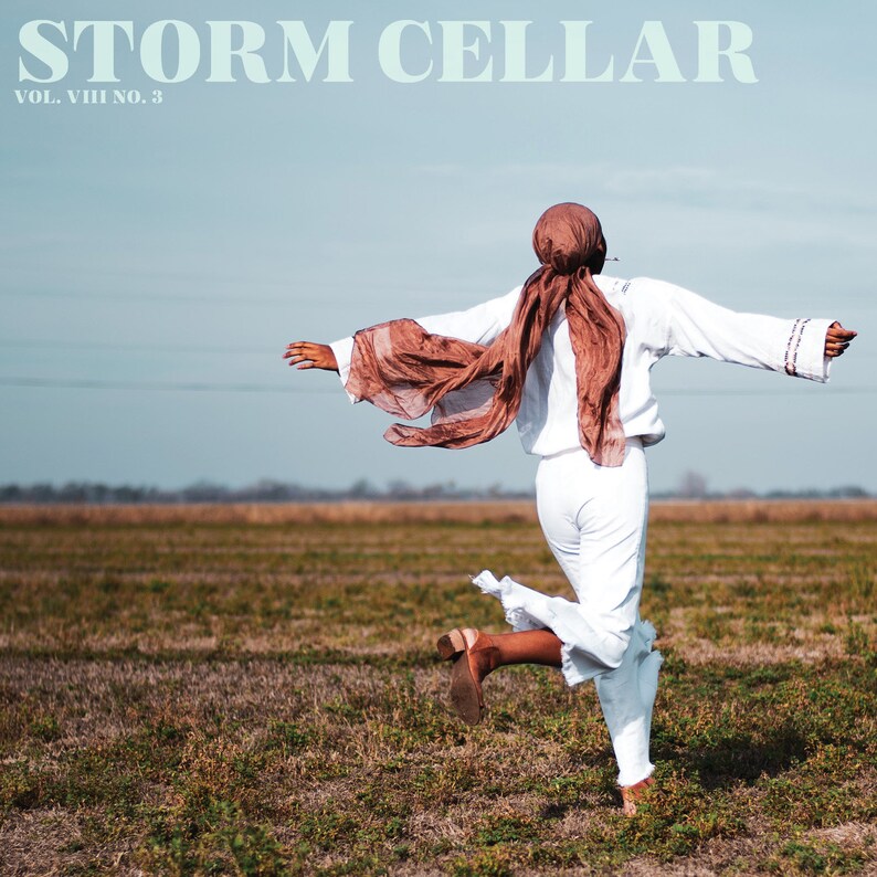 Storm Cellar 8.3 ebook image 1