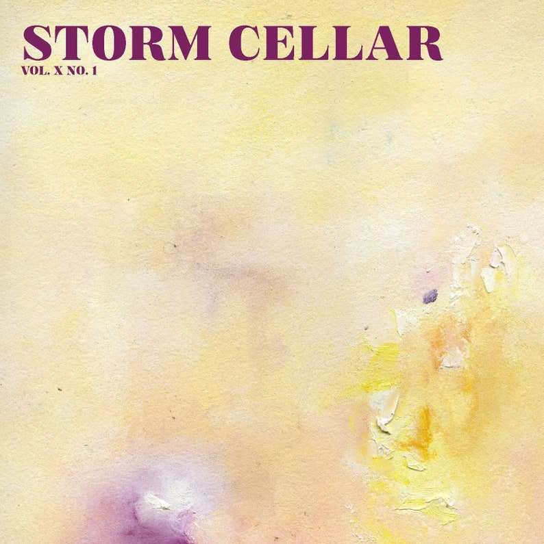Storm Cellar 10.1 ebook image 1
