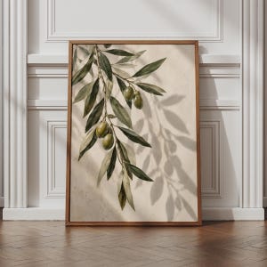 May include: A framed vertical wall art print featuring a botanical illustration of an olive branch with green leaves and several olives. The artwork is set against a light beige background with soft, diffused shadows of leaves cast across the surface.