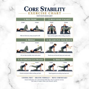 May include: A Core Stability Exercise Chart by Novistudioart featuring six instructional panels: Heel Slide, Bent-Knee Fallout, Bridge, Quadruped Arm Reach, Quadruped Leg Reach, and Bird Dog. Each panel displays start and finish positions.