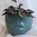 see more listings in the Vases section