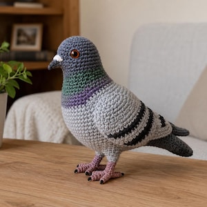 May include: A crocheted pigeon plush toy featuring a grey body, a dark grey head, and a neck with iridescent-looking green and purple yarn accents. The bird has orange eyes, a small white beak detail, black wing stripes, and pinkish feet.