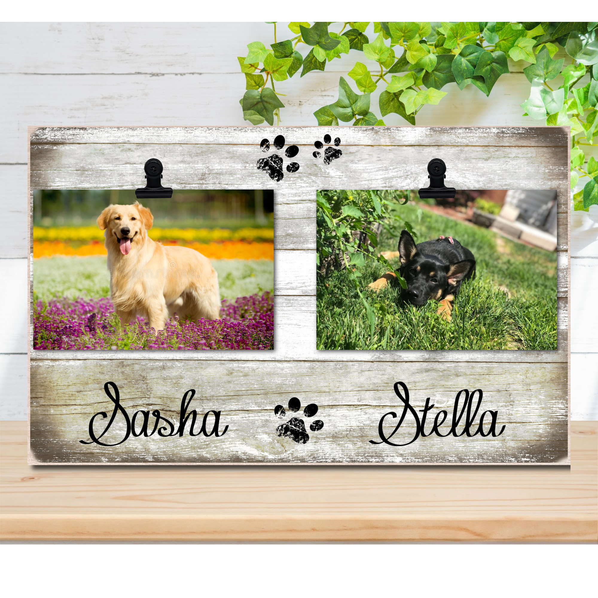 Dog photo frames online 2025