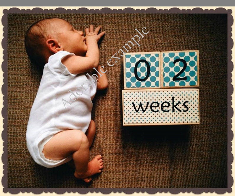 Baby age blocks weeks months years grade age blocks baby Etsy