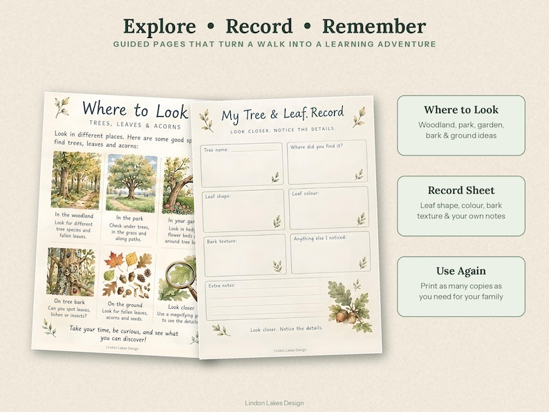 Tree Identification Forest School Activity, Outdoor Learning Nature ...