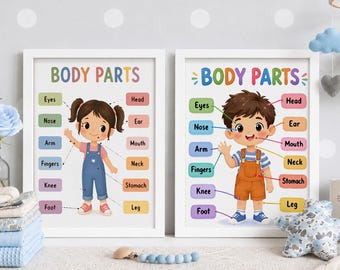Body Parts Poster Set, Homeschool Educational Prints for Toddlers, Human Body Downloadable, Teaching Resource, Preschool Kids Anatomy Art