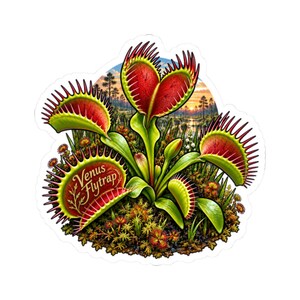 May include: A sticker featuring a vibrant illustration of a Venus flytrap plant with red and green serrated leaves. The text 'Venus Flytrap' is written in a cursive script on one of the leaves. The background shows a sunset over a marshy landscape.
