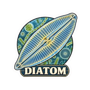 May include: A sticker featuring a detailed illustration of a single large, elongated, golden-yellow diatom with a symmetrical, porous structure. The background is a circular blue field filled with various microscopic organisms. The word DIATOM is printed in white capital letters on a dark blue banner at the bottom.