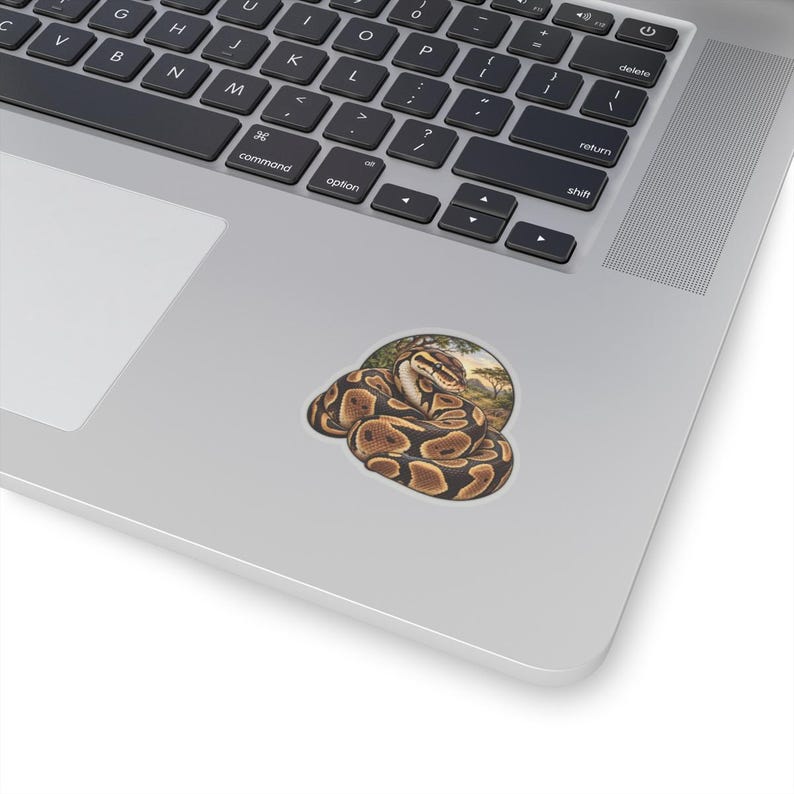 Ball Python Sticker for Snake Lovers, Natural History Reptile Decal, Curious Nature Gift image 7