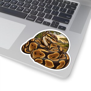Ball Python Sticker for Snake Lovers, Natural History Reptile Decal, Curious Nature Gift image 5