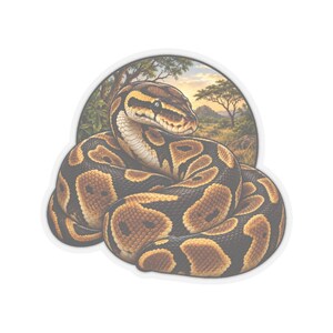 Ball Python Sticker for Snake Lovers, Natural History Reptile Decal, Curious Nature Gift image 2