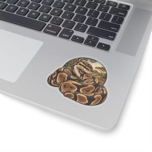 Ball Python Sticker for Snake Lovers, Natural History Reptile Decal, Curious Nature Gift image 8