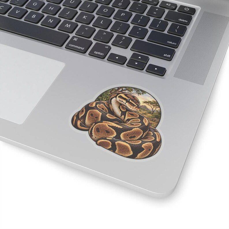 Ball Python Sticker for Snake Lovers, Natural History Reptile Decal, Curious Nature Gift image 8