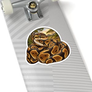 Ball Python Sticker for Snake Lovers, Natural History Reptile Decal, Curious Nature Gift image 6