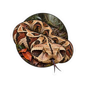 Può includere: Un adesivo circolare con un'illustrazione dettagliata di una vipera del Gabon dal corpo spesso e modellato in tonalità marrone, beige e nero. Il serpente è avvolto sul suolo della foresta con foglie e la sua lingua biforcuta è estesa.