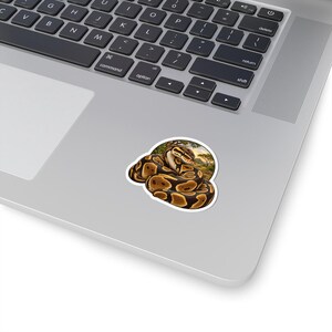 Ball Python Sticker for Snake Lovers, Natural History Reptile Decal, Curious Nature Gift image 3