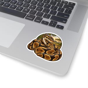 Ball Python Sticker for Snake Lovers, Natural History Reptile Decal, Curious Nature Gift image 4