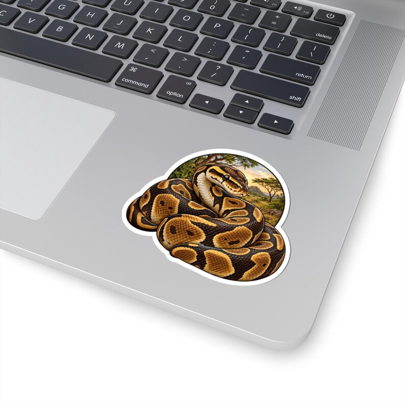 Ball Python Sticker for Snake Lovers, Natural History Reptile Decal, Curious Nature Gift image 4