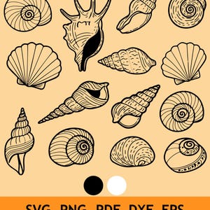 May include: A collection of black line art illustrations featuring various seashell shapes including spiral, conch, and fan shells arranged on a light tan background with the text SVG, PNG, PDF, DXF, EPS at the bottom.