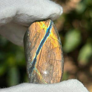 May include: A polished labradorite gemstone with a smooth, oval shape. The stone features a dark grey base colour with prominent iridescent flashes of golden-yellow and a distinct, sharp streak of electric blue running diagonally across the surface.