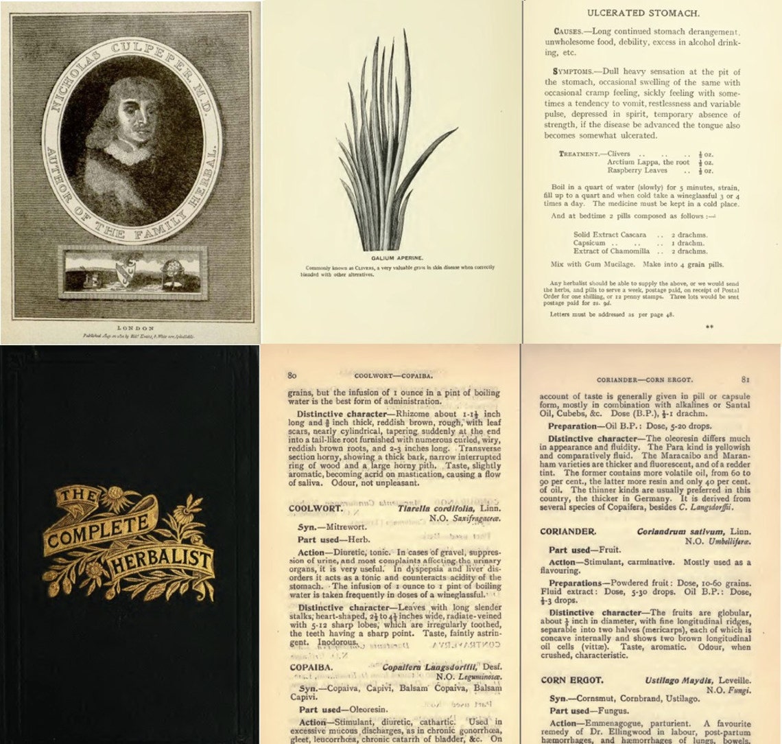 72 RARE Vintage Herbal Medicine Remedies Homeopathic eBooks Etsy