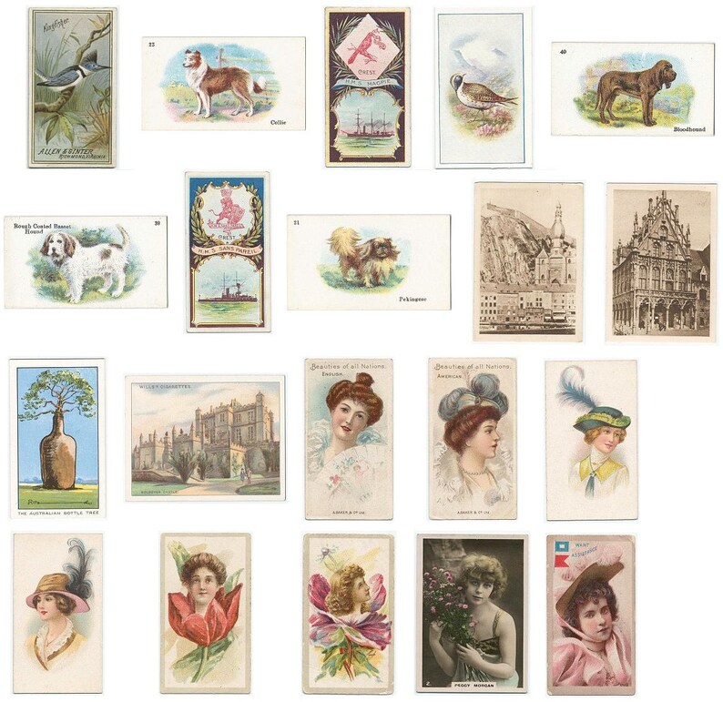 2900 Vintage Cigarette Card Images .jpg File Format Etsy