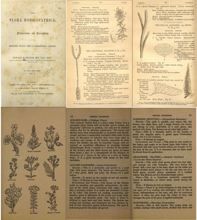 72 RARE Vintage Herbal Medicine Remedies Homeopathic eBooks Etsy