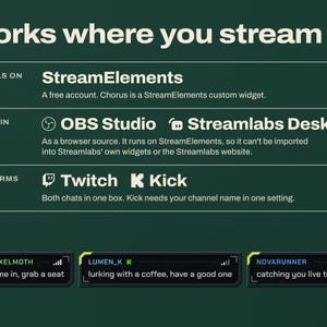 Chorus installs on StreamElements, works in OBS Studio and Streamlabs Desktop as a browser source, and shows Twitch and Kick chat together.