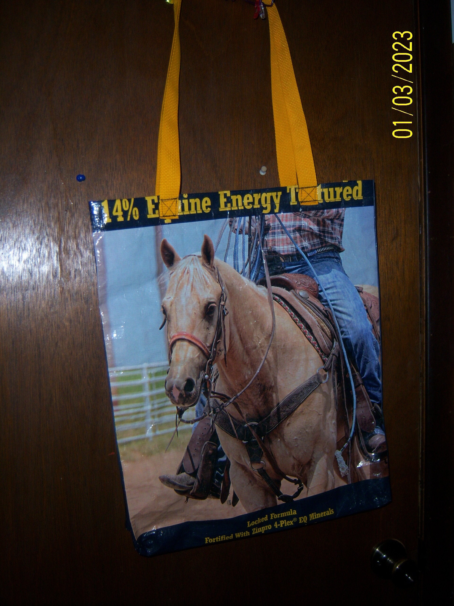 Feedbag horse sale