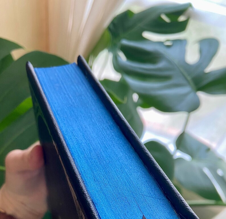 May include: Close-up of the spine of a hardcover book with a black leather cover and a bright blue textured fabric.