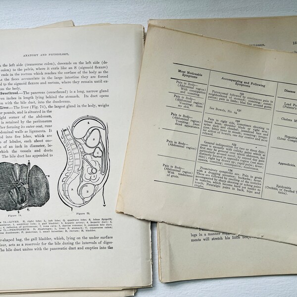 Medical Antique Pages from the Library of Health | 50 Naturally Aged Pages from 1916 for Ephemera Projects | scrapbooks, journals, layering