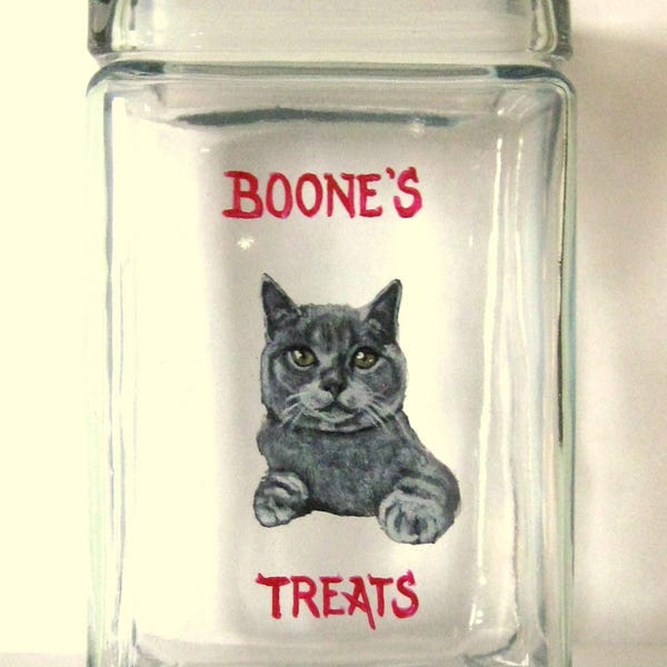 Custom Cat Painting, Treat Jar, Personalized Pet, Custom Canister, Gray Cat, Snack Holder, Painted Glass, Cat Food
