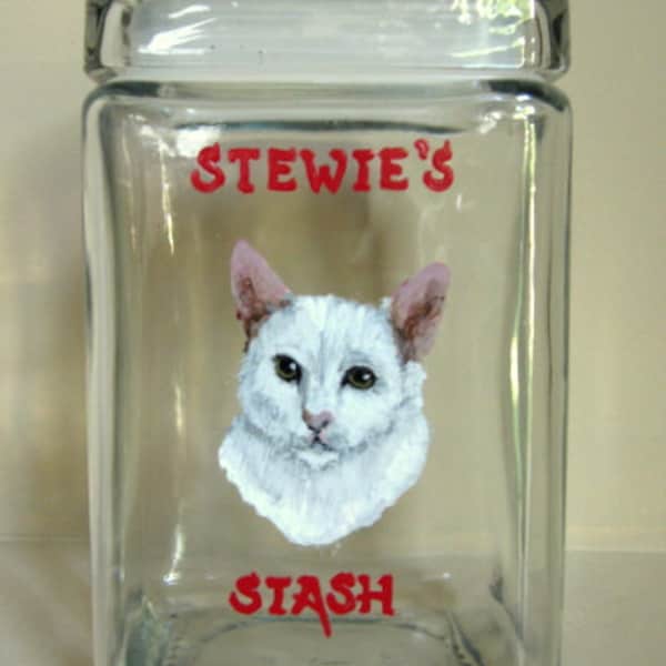 White Cat, Pet Treat Jar, Snack, Catnip Container, Custom Glass Canister, Feline Art, Handpainted Pet Portrait, Kitchen Decor, Original Art