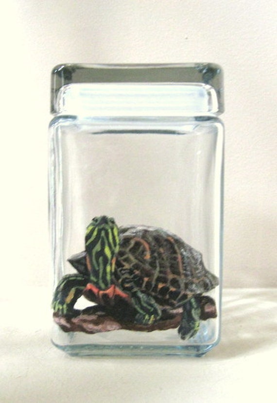 Turtle Food Jar, Red Eared Slider, Pond Turtle, Custom Glass Canister, Pet  Food, Hand Painted Glass, Fish Food, Turtle Decor