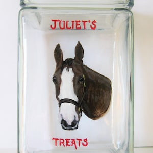 Horse Treat Jar, Custom Canister, Horse Painting, Equestrian Art, Thoroughbred, Custom Pet Portrait, Horse Trainer Gift
